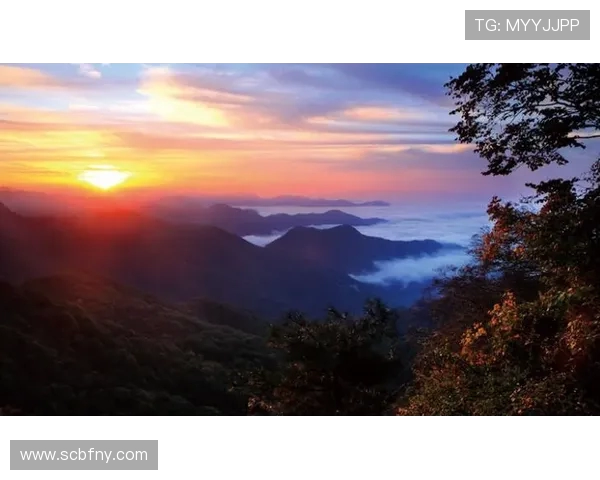 吴丽的攀岩人生:在高峰与深渊之间的深度对话与心灵探索 吴丽的攀岩人生:在高峰与深渊之间的深度对话与心灵探索