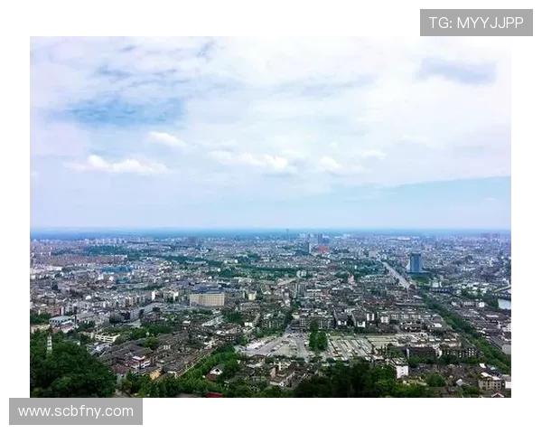 成都羽毛球队阵地战革新探索与实践全景分析 成都羽毛球队阵地战革新探索与实践全景分析