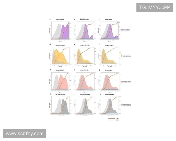 武汉篮球队团队协作表现的数据分析与提升策略探讨