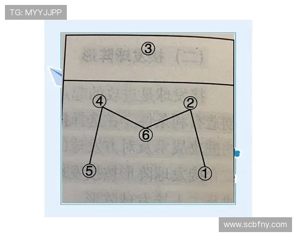 深入分析西安排球队的运营策略与战术打法解析